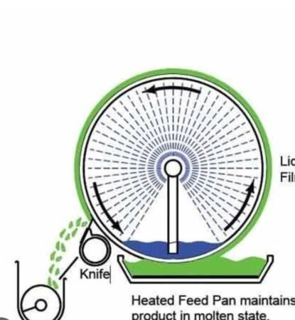 WhatsApp Image 2025-01-31 at 1.39.44 PM