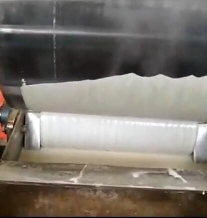 WhatsApp Image 2025-01-31 at 1.39.48 PM