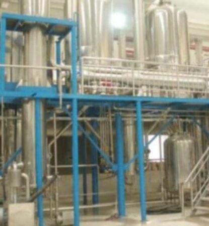 WhatsApp Image 2025-01-31 at 1.39.51 PM