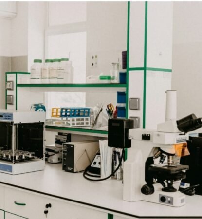 WhatsApp Image 2025-01-31 at 1.39.07 PM