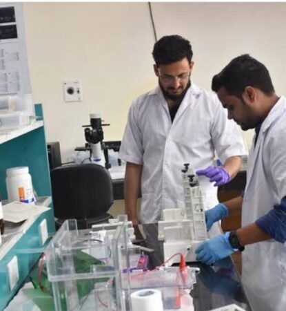 WhatsApp Image 2025-01-31 at 1.39.37 PM