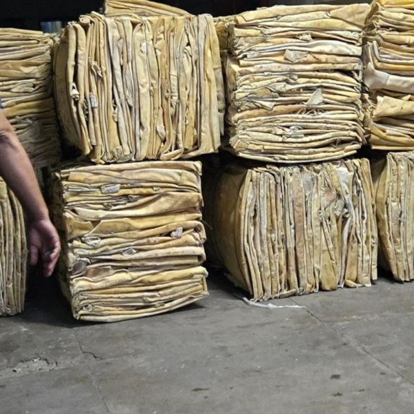 WhatsApp Image 2025-05-01 at 2.04.47 PM