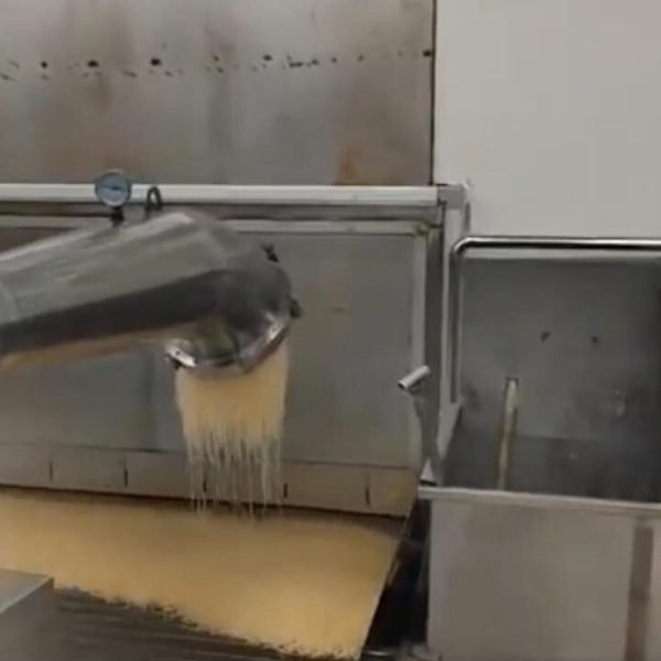 WhatsApp Image 2025-05-01 at 2.04.49 PM