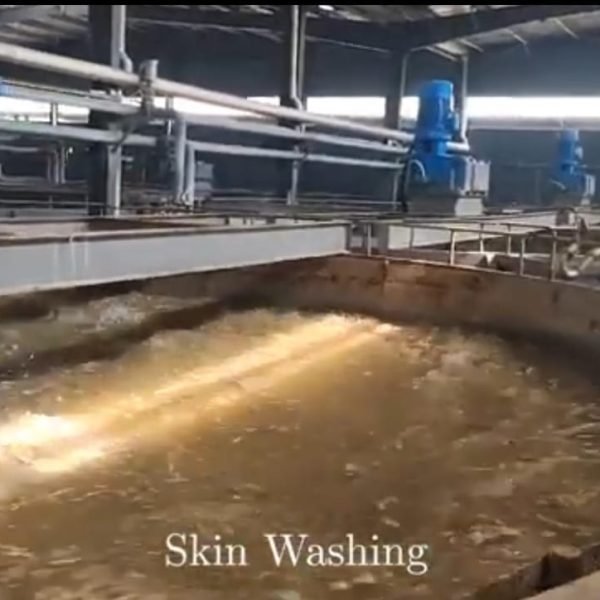 WhatsApp Image 2025-05-01 at 2.04.51 PM (1)