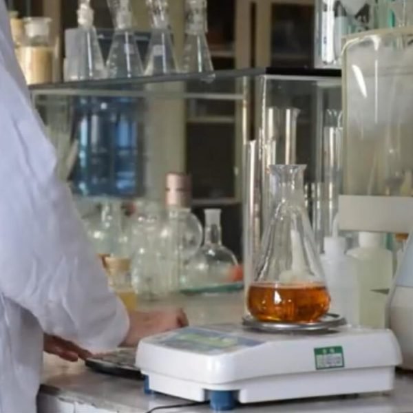 WhatsApp Image 2025-05-01 at 2.04.54 PM