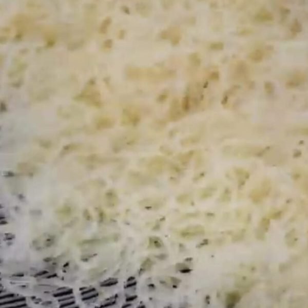 WhatsApp Image 2025-05-01 at 2.04.57 PM (1)