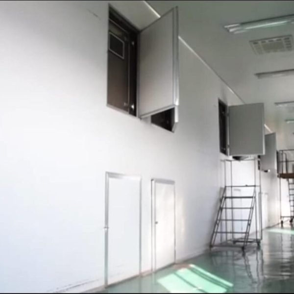 WhatsApp Image 2025-05-01 at 2.04.57 PM