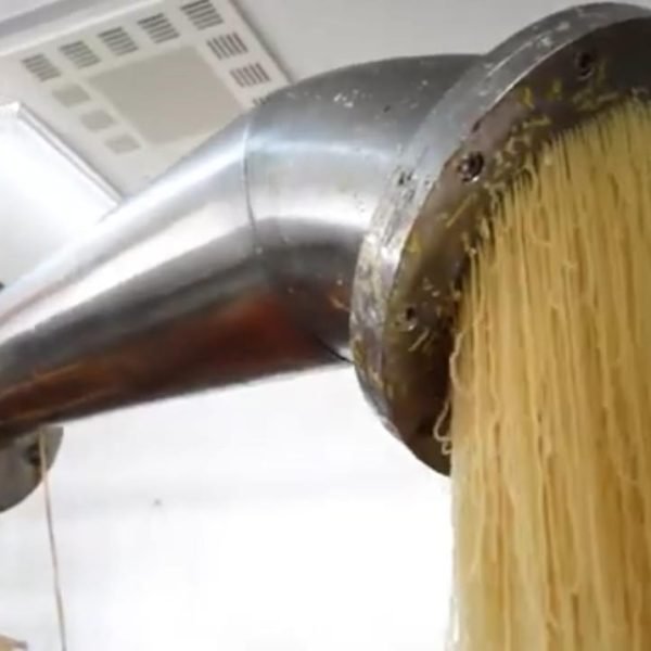 WhatsApp Image 2025-05-01 at 2.04.58 PM (1)