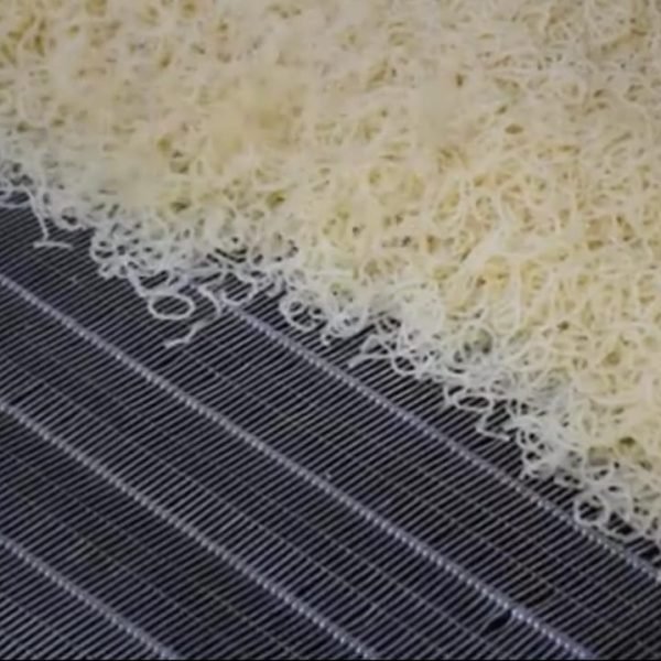 WhatsApp Image 2025-05-01 at 2.04.58 PM